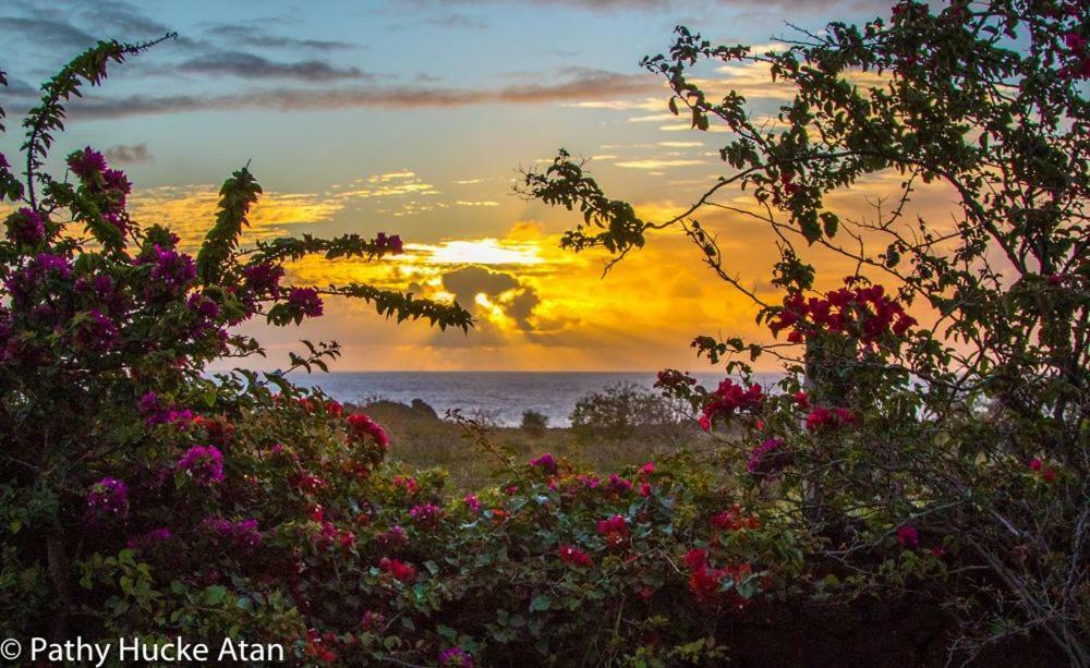 Kona Koa Lodge Hanga Roa Kültér fotó